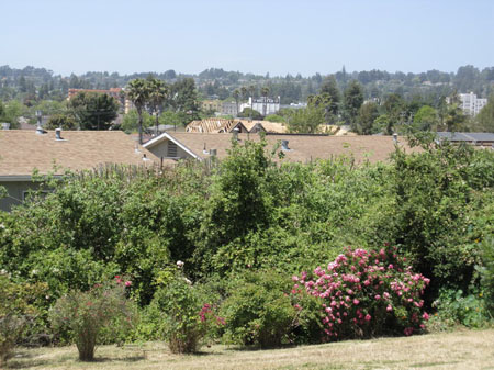 IMG_2541_resize