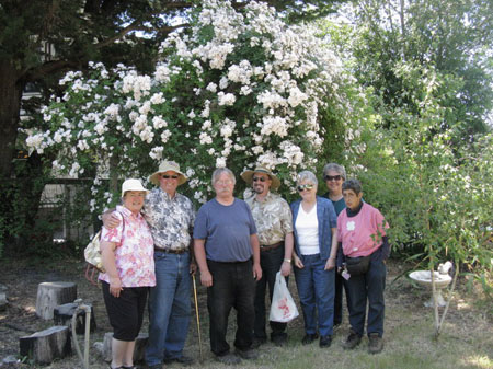 IMG_2546_resize