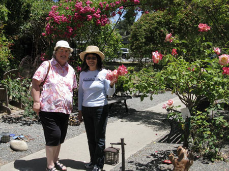 IMG_2548_resize