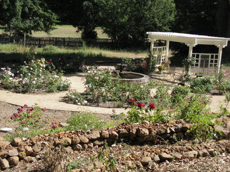 IMG_2570_resize