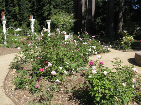 IMG_2574_resize