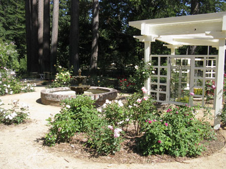IMG_2575_resize
