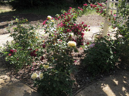 IMG_2579_resize