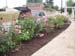 MBRS Rose Garden 5