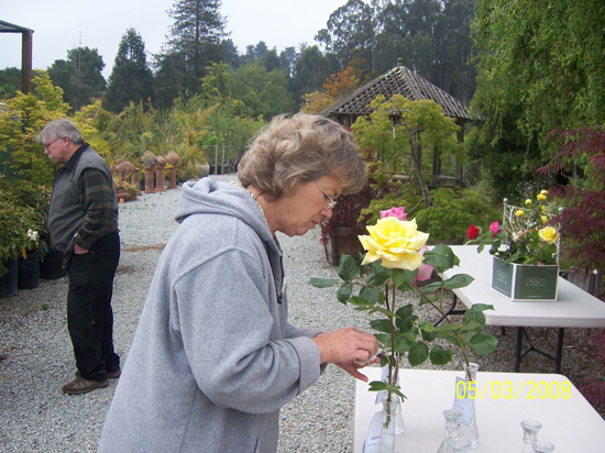 Exhibitors at Rose Show 006